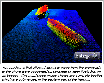 The roadways that allowed stores to move from the pierheads to the shore were supported on concrete or steel floats known as beetles. This point cloud image shows two concrete beetles which are submerged in the eastern part of the harbour.